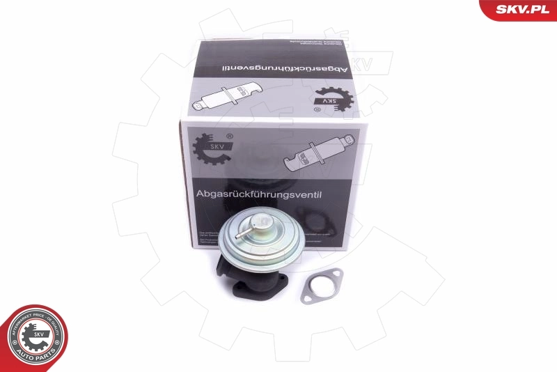 EGR Valve
